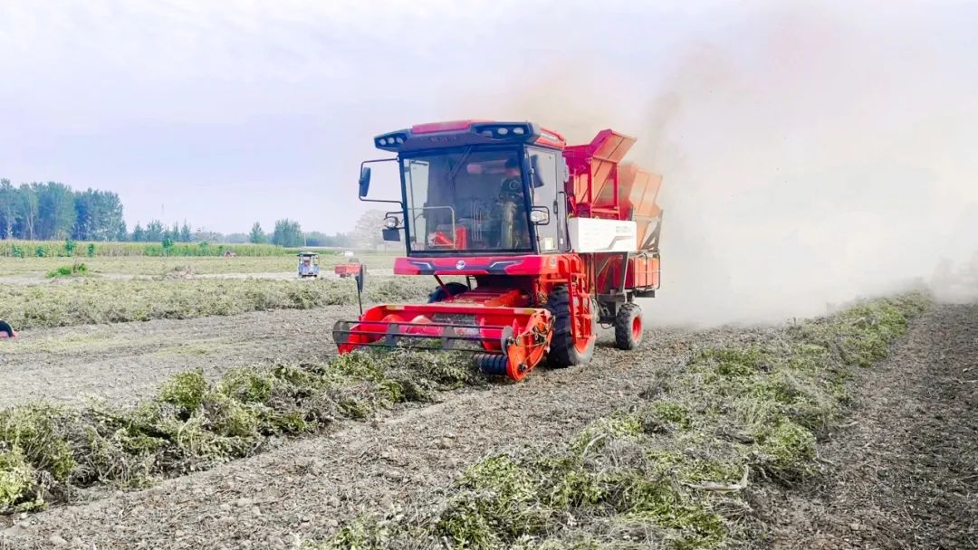 Loyalty customer Wang Feng: less breakdown, big horsepower, 9.33 hectares per day, Zhonglian Harvest 4HJL-6 peanut combine harvester is really good