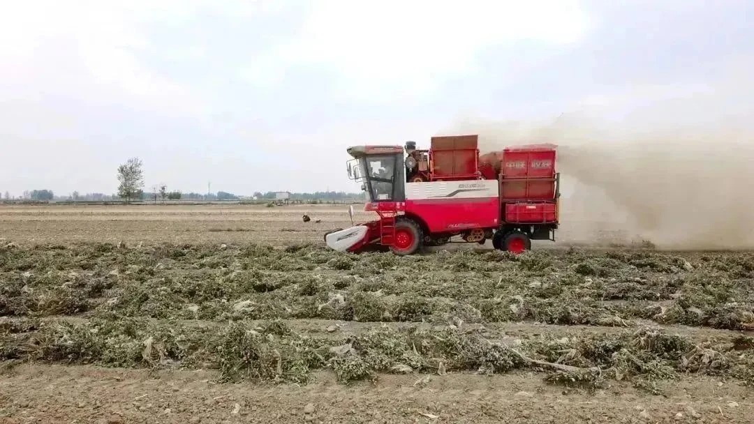 Master Dong from Zhengyang, Henan: Deeply cultivating agricultural services for ten years, only trusting Zhonglian to reap rewards(图1) 1778666185137416 (1).jpg