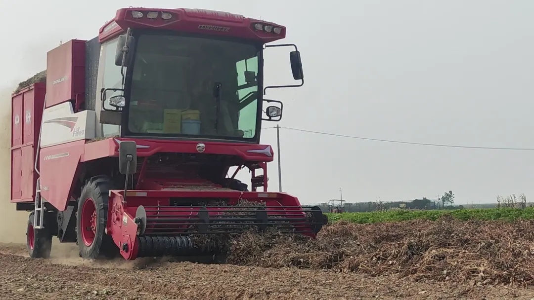 A Husband-and-Wife Team in Agricultural Machinery Services: Buying a Zoomlion Harvester for Cross-Region Work Is Much Better Than Working Elsewhere!(图1) 640.jpg