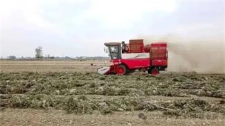 Woye Nuggets: Nanyang Old Agricultural Mechanic Master Wu and Zhonglian Harvests Two-way Going.(图3) 640 (3)_看图王.jpg